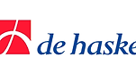 de haske logo.png